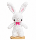 Mochi the Bunny